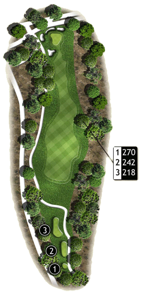Hole 11 Hole 11 graphic