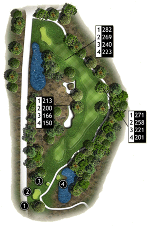 Hole 17 Hole 17 graphic
