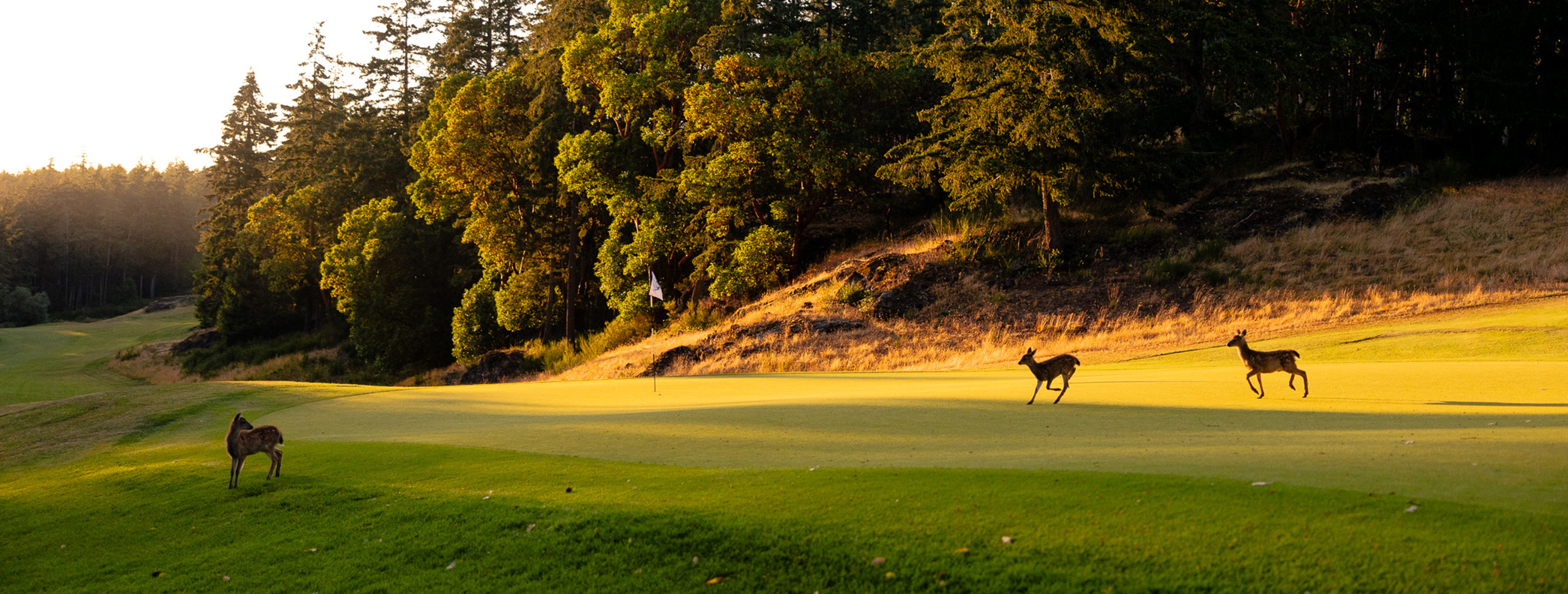 Olympic View Golf Club in Victoria Contact Us Vancouver Island Golf
