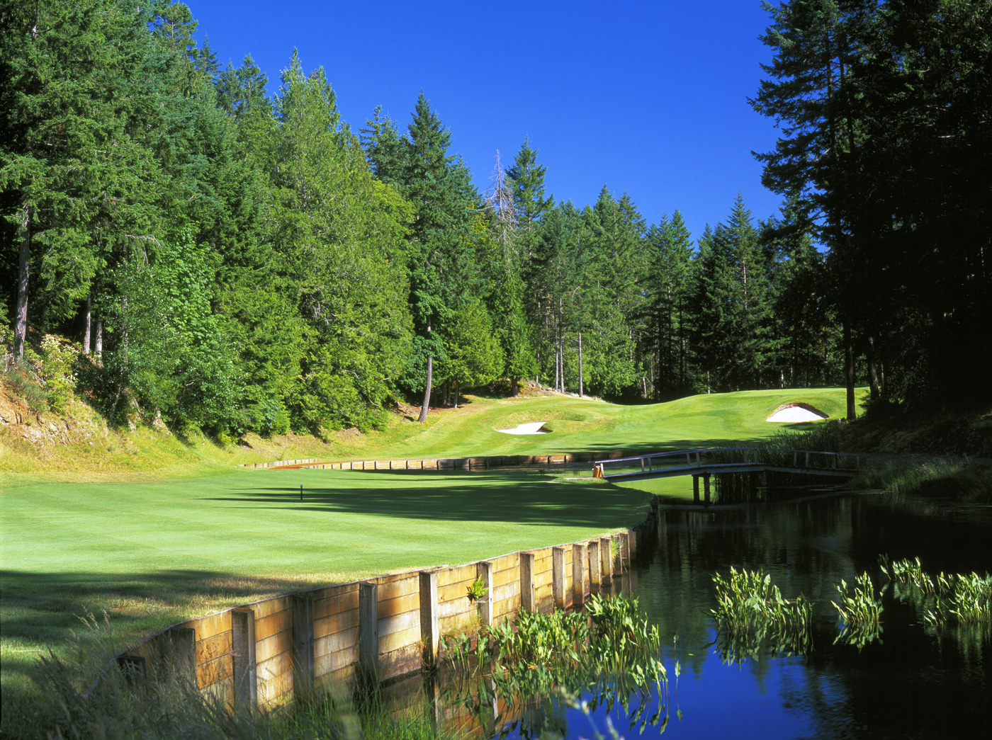 Olympic View Golf Club Photo Gallery