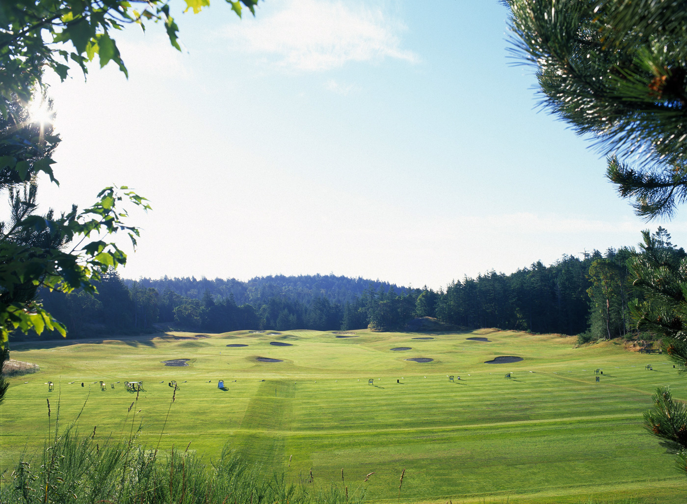 Olympic View Golf Club Photo Gallery