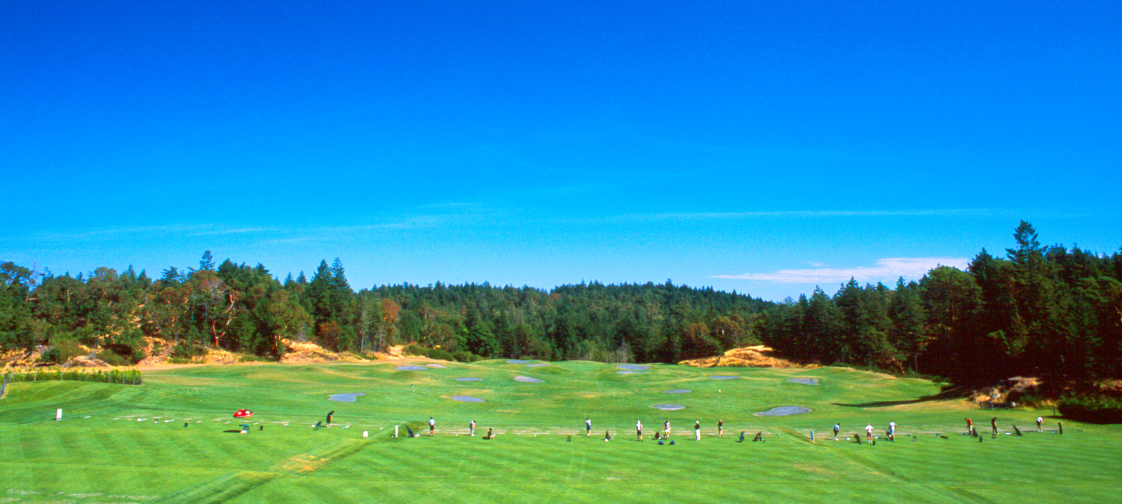 golfing swing plane video