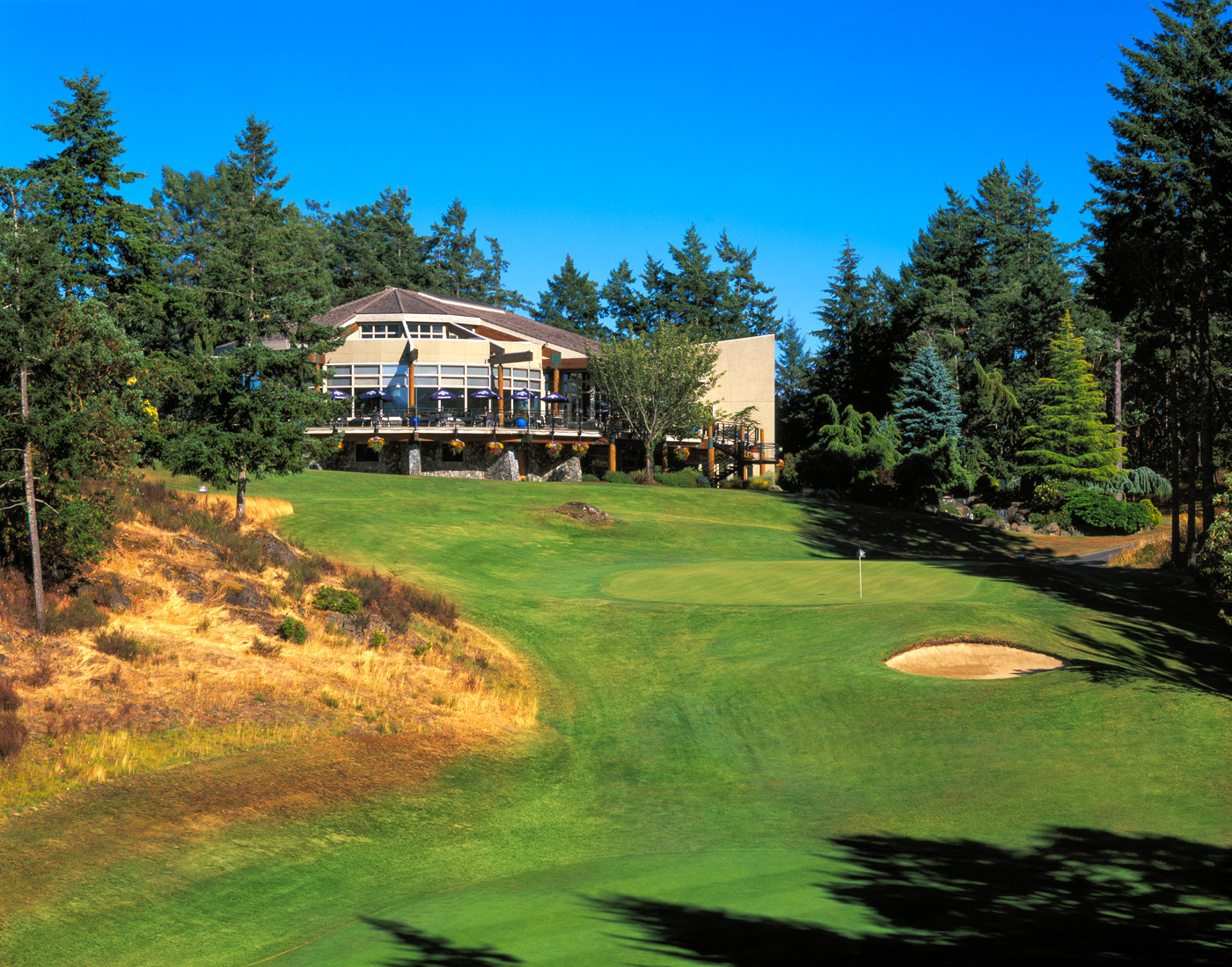 Olympic View Golf Club Photo Gallery