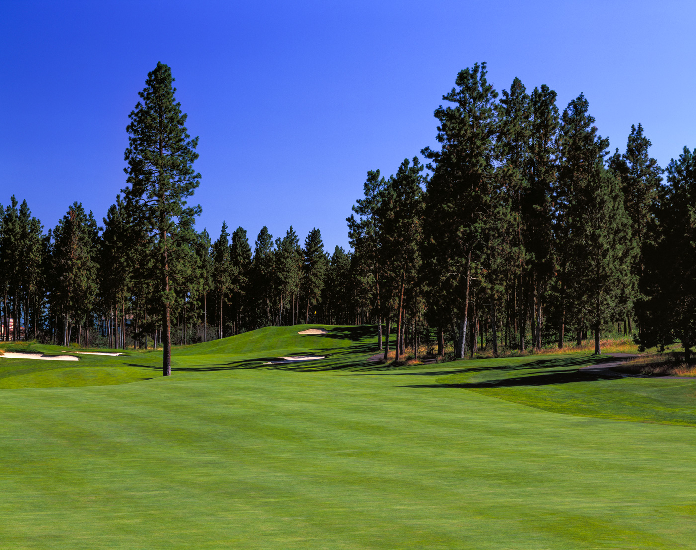 Vancouver Island Golf Tournaments Vancouver Island Golf Tournaments