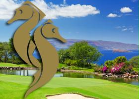 Seahorse Swing Pass at Wailea Golf Club